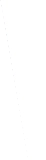 ikona
